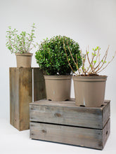 products/SotoProductShootLowQ-1977.jpg